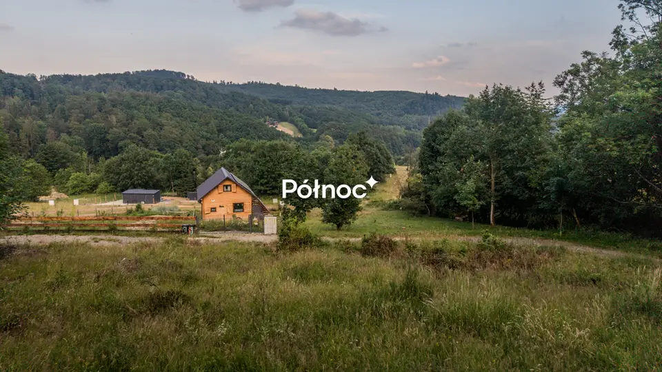 Zdjęcie 8