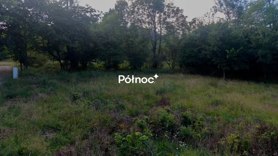 Zdjęcie 9