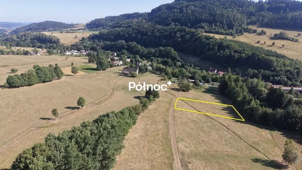Zdjęcie 2
