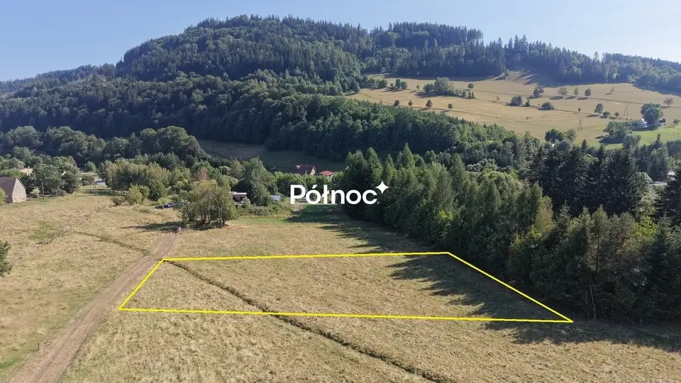 Zdjęcie 3