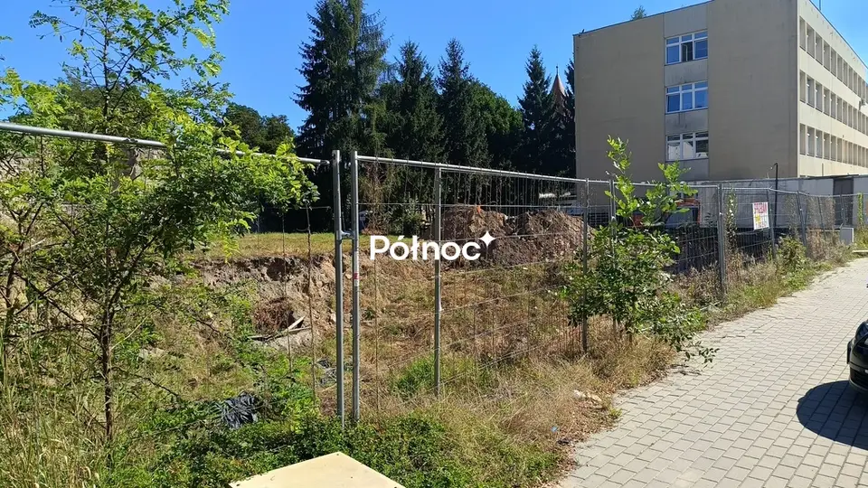 Zdjęcie 8