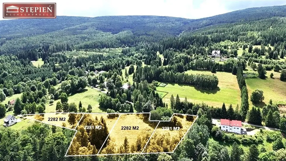 Zdjęcie 9