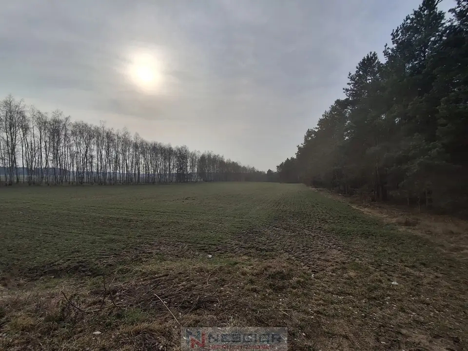 Działka budowlana 990 m², Boroszków