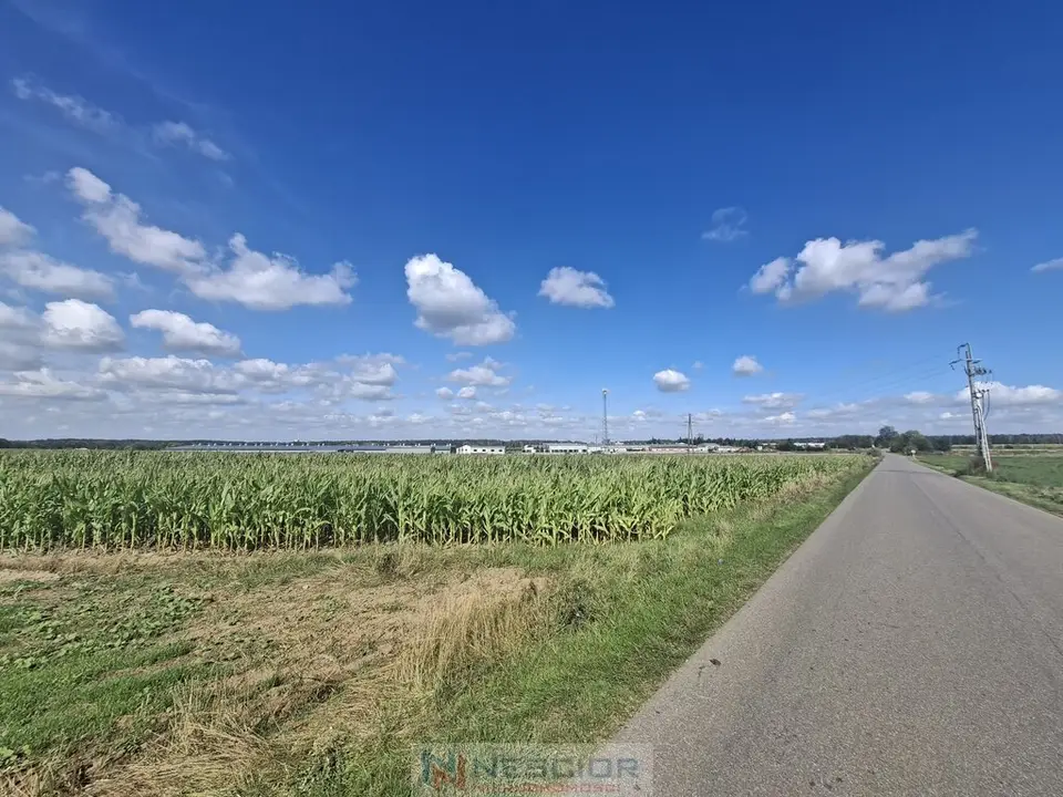 Działka inwestycyjna 11,69 ha, Suchożebry