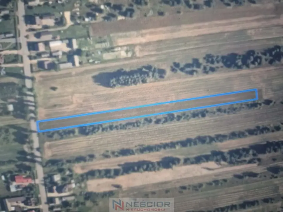 Działka rolna 5 800 m², Dąbrowa