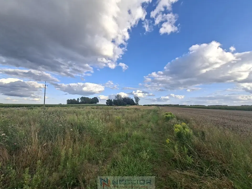 Działka budowlana i inwestycyjna 3 000 m², Nowe Iganie