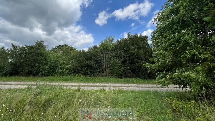 Działka rolna 5 271 m², Teodorów