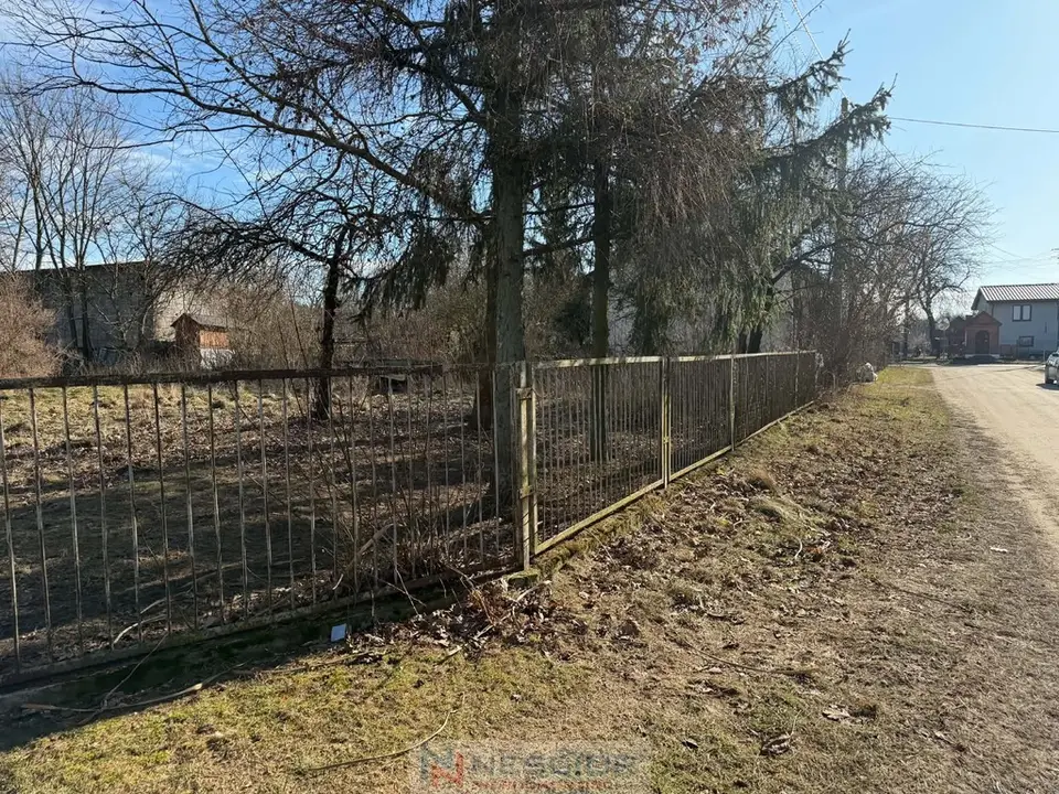 Zdjęcie 3