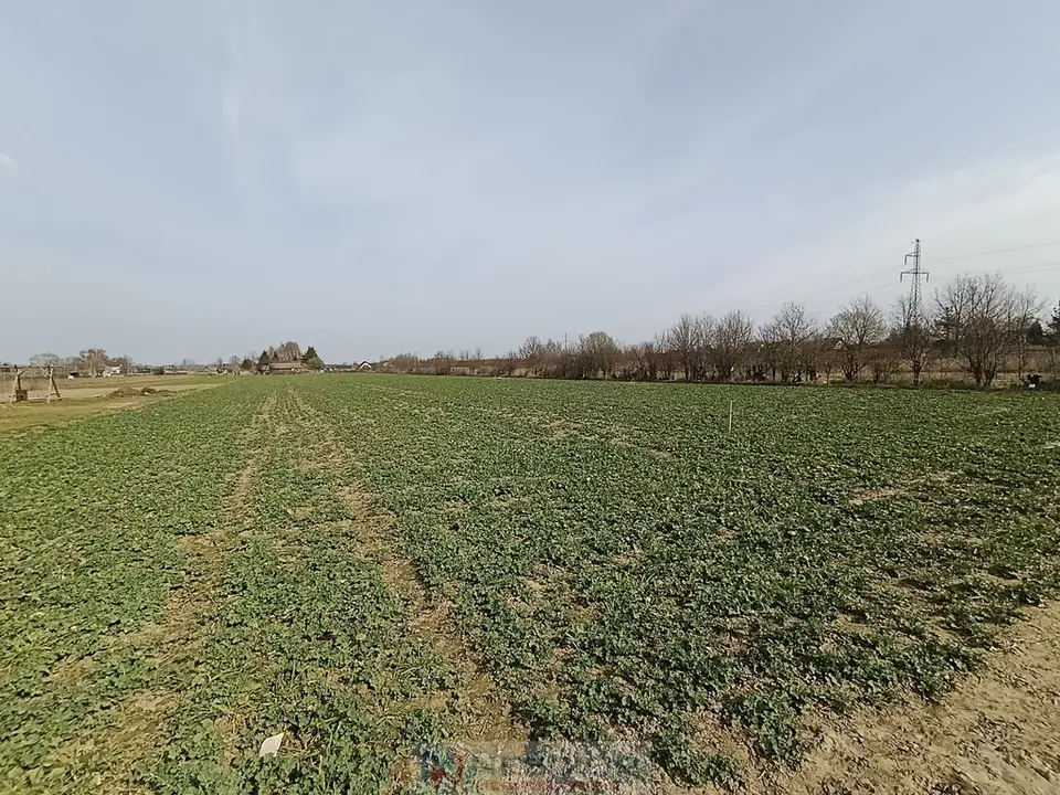 Zdjęcie 2