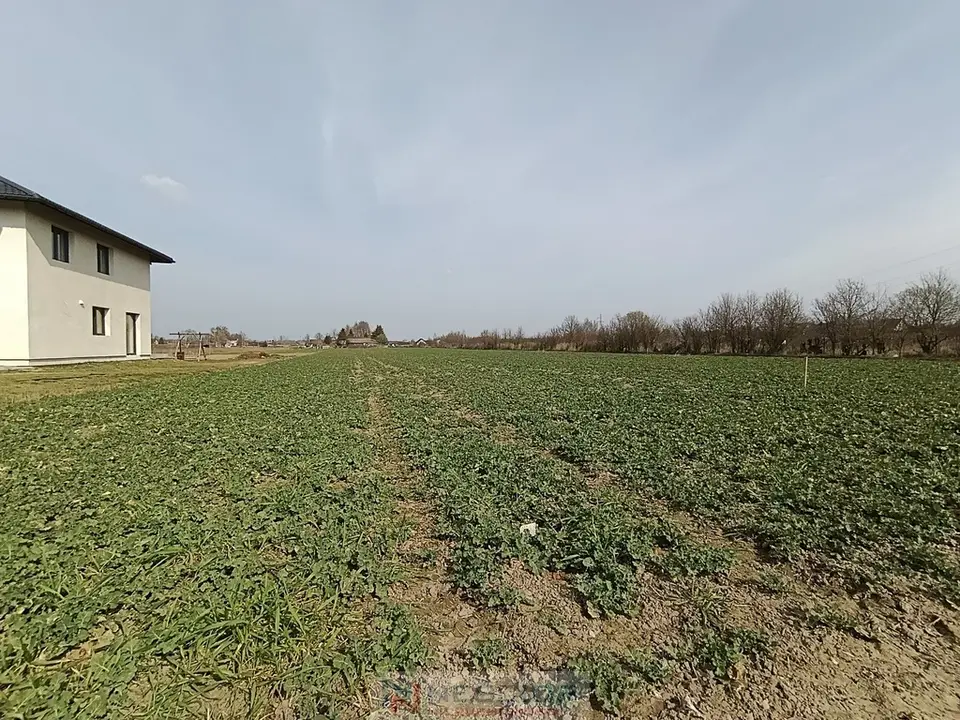 Zdjęcie 3