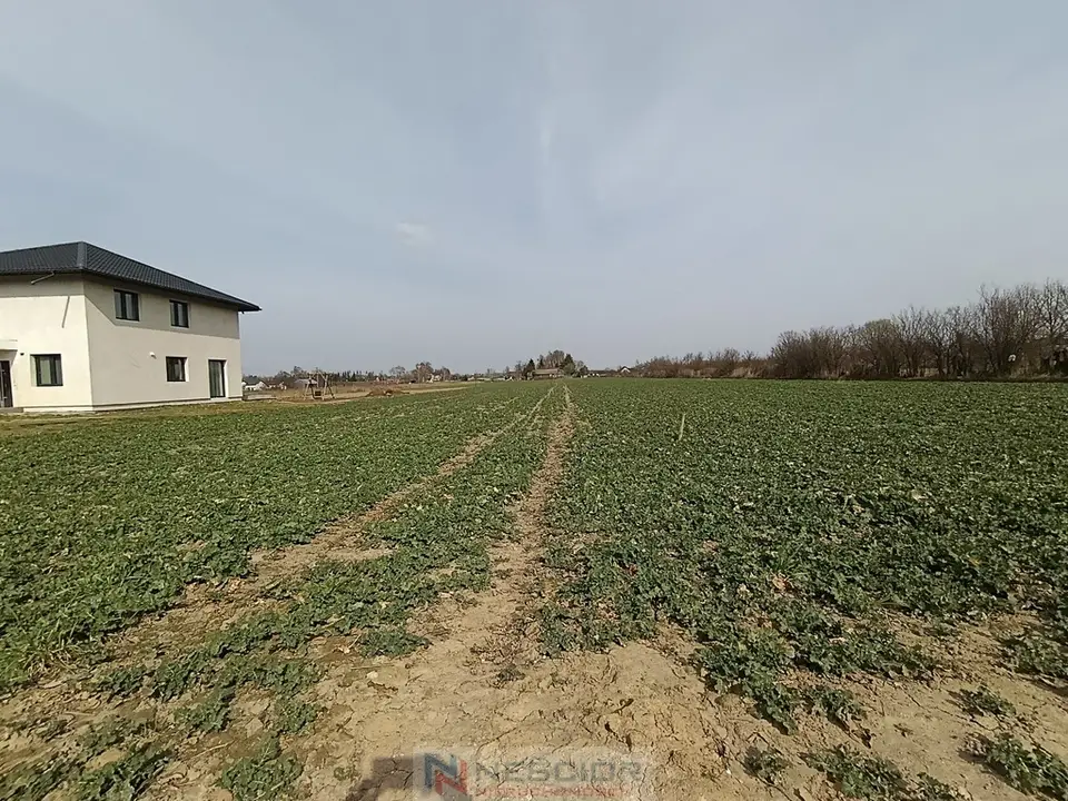 Zdjęcie 5