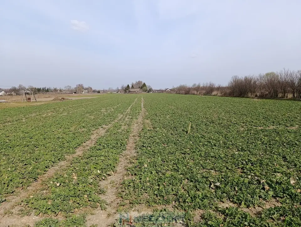 Zdjęcie 7