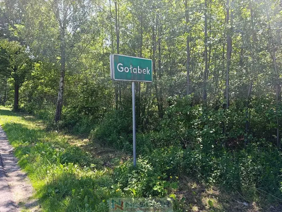 Zdjęcie 4