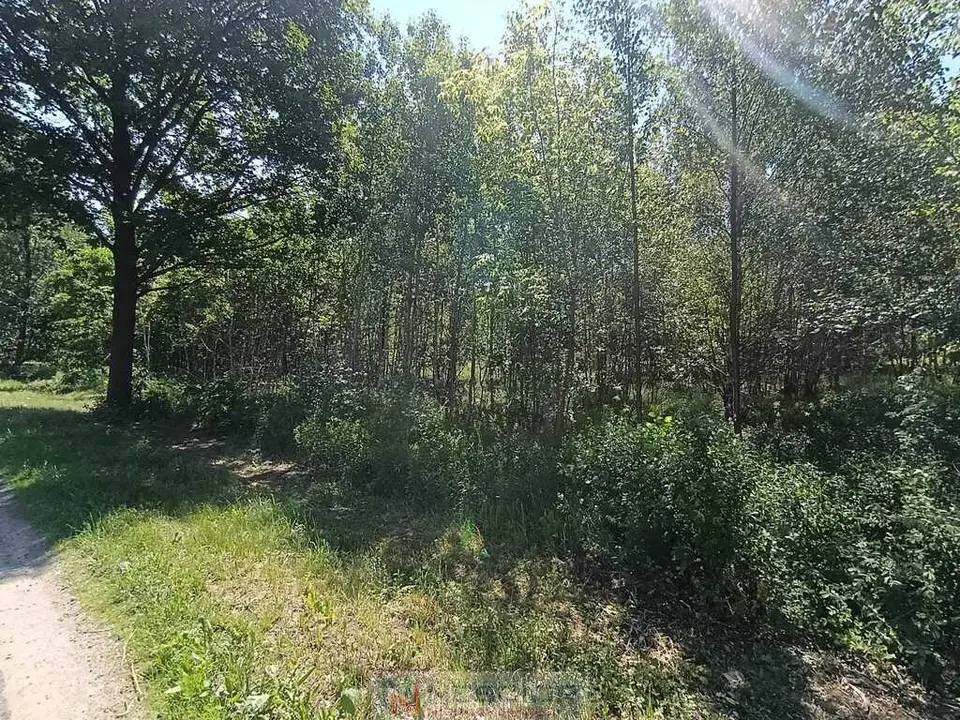 Zdjęcie 6