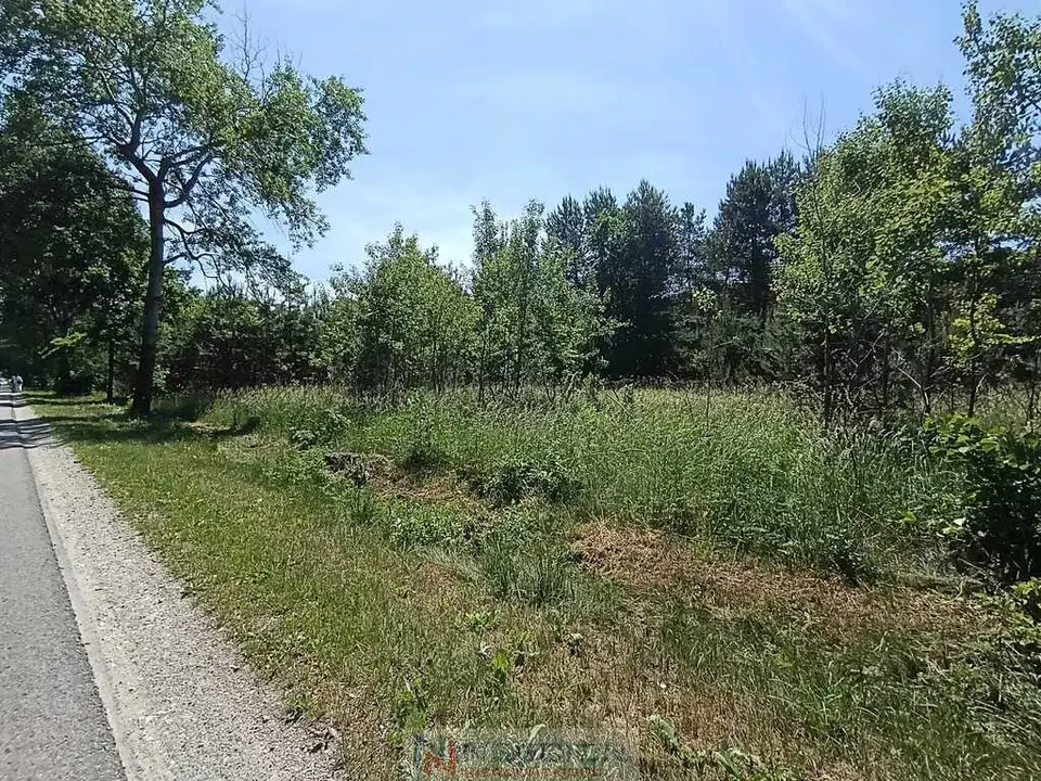 Zdjęcie 7