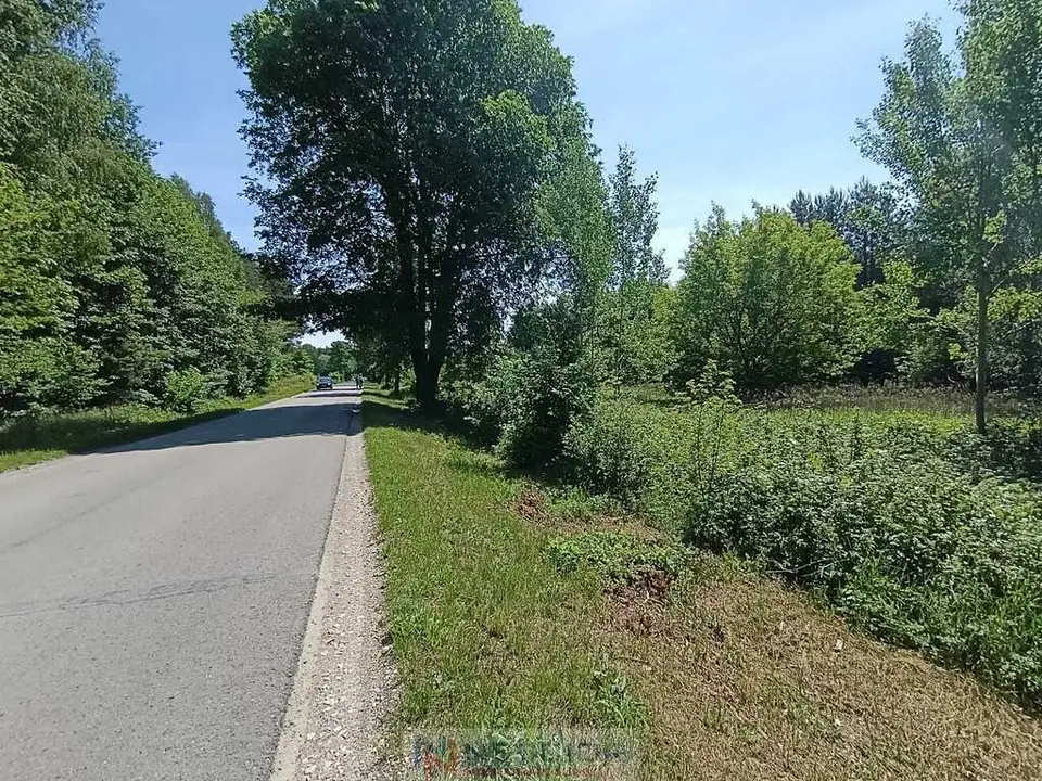 Zdjęcie 9