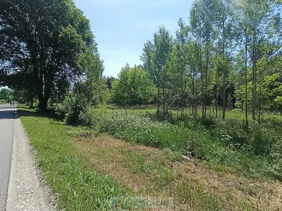 Zdjęcie 10