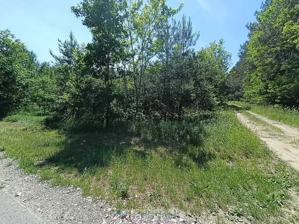 Zdjęcie 12
