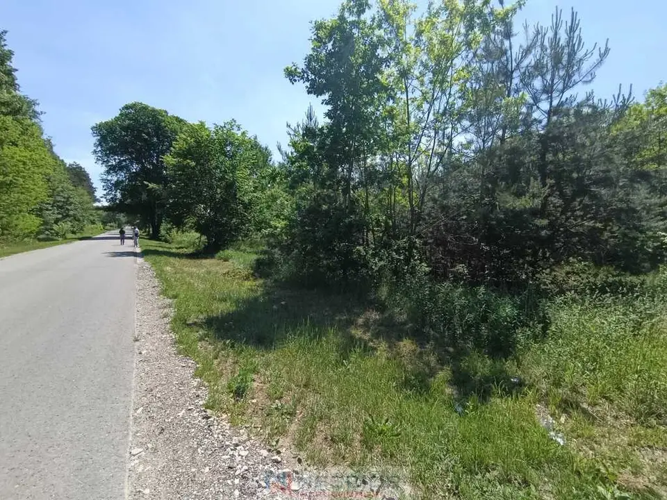 Zdjęcie 13