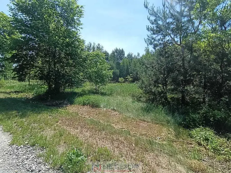 Zdjęcie 14