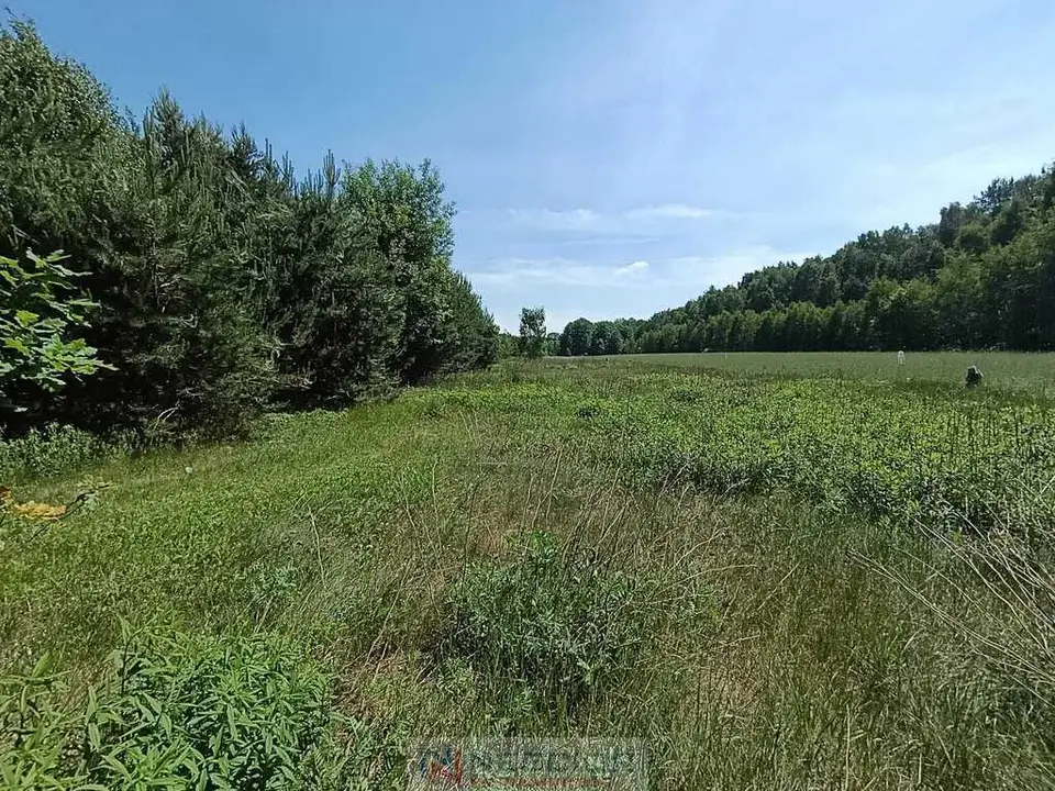 Zdjęcie 16