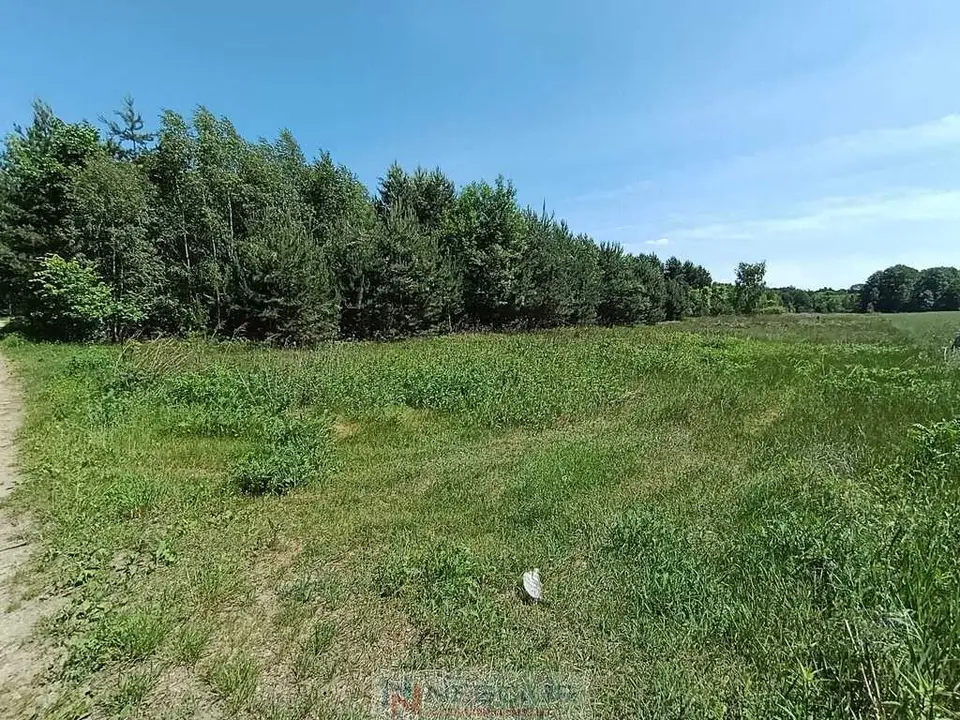 Zdjęcie 17