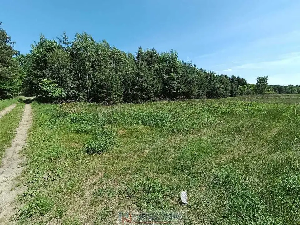 Zdjęcie 18