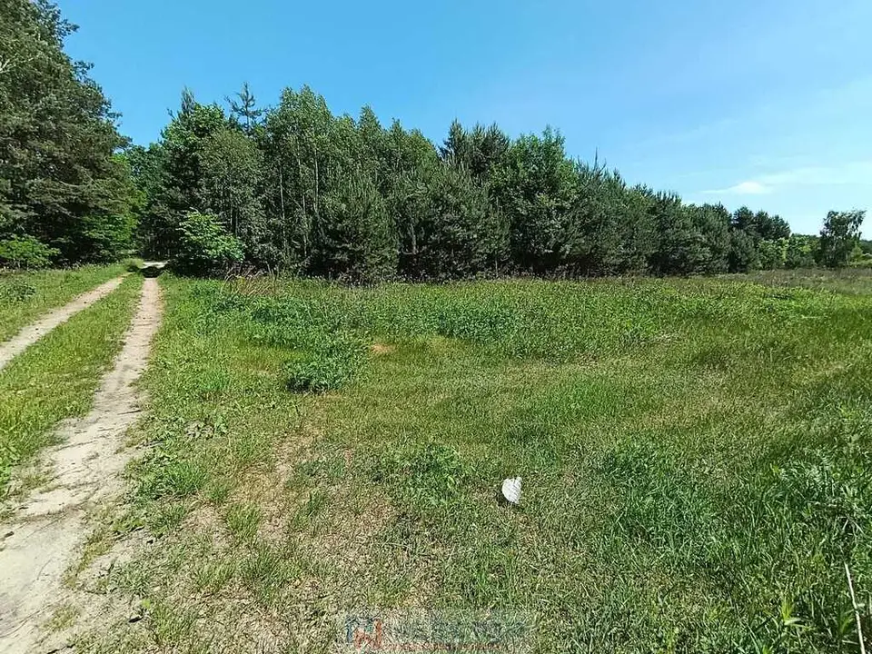 Zdjęcie 19