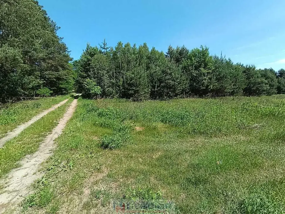 Zdjęcie 20