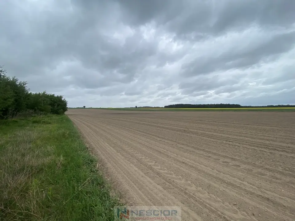 Działka budowlana 691 m², Borki Siedleckie