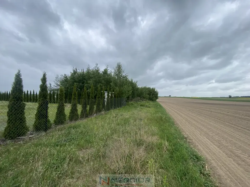 Zdjęcie 5