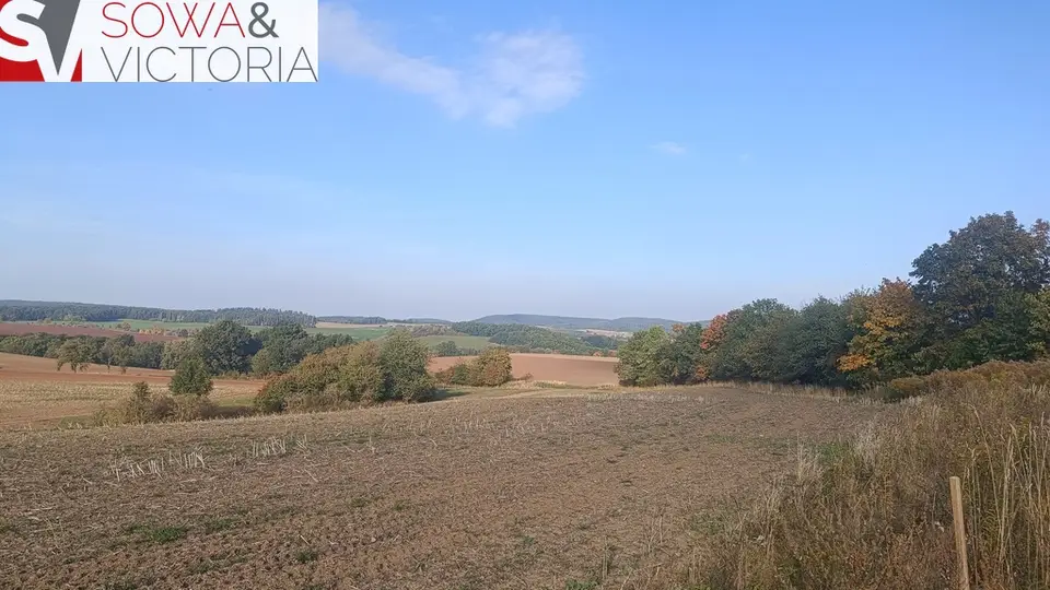 Zdjęcie 3