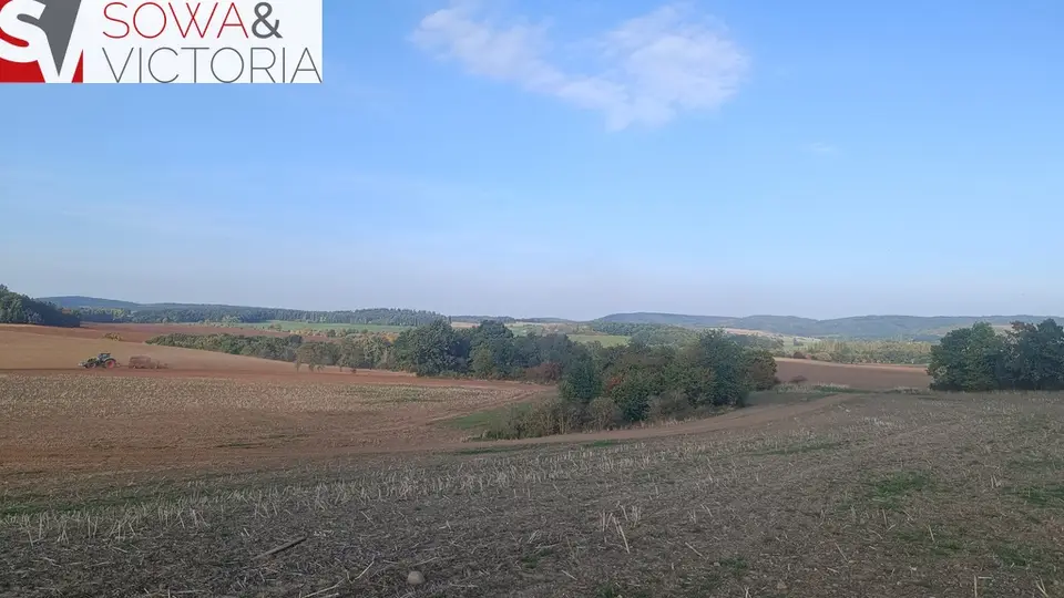 Zdjęcie 4