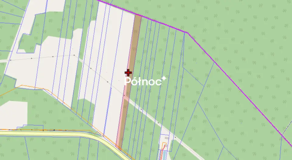 Zdjęcie 5