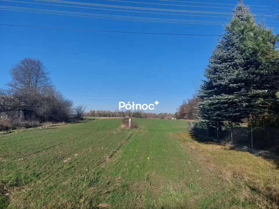 Zdjęcie 6