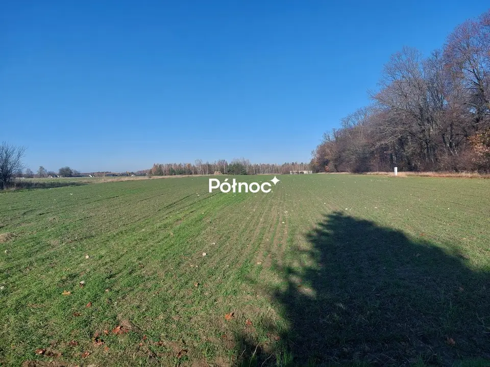 Zdjęcie 7