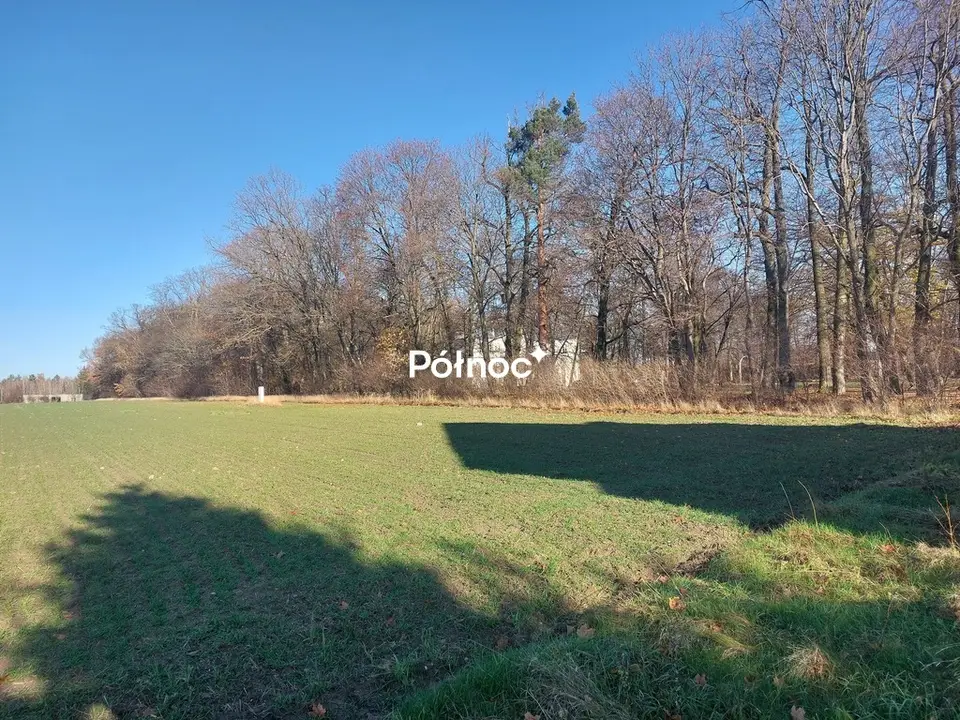 Zdjęcie 8