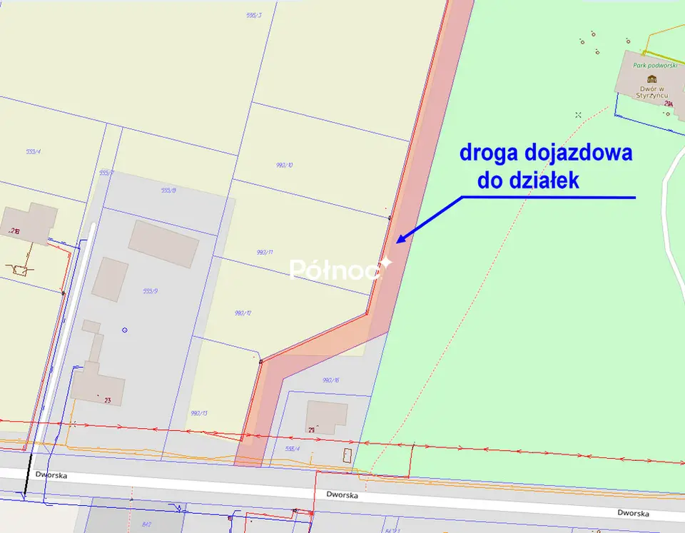 Zdjęcie 11