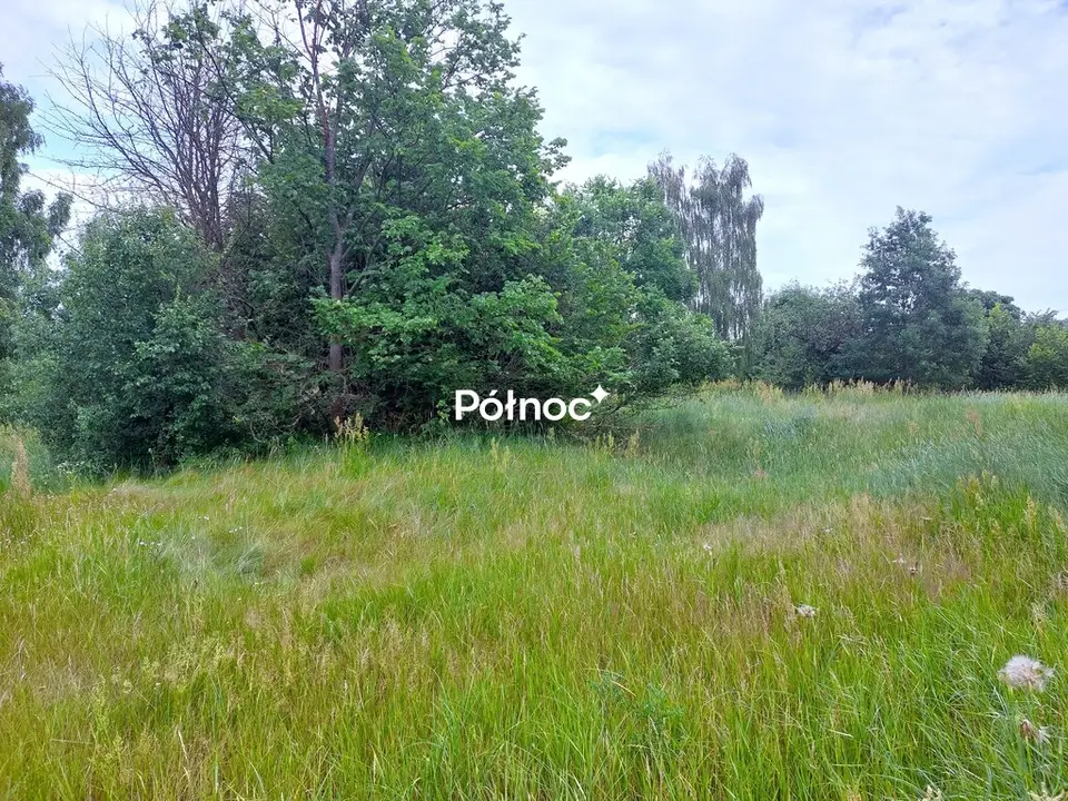Zdjęcie 3