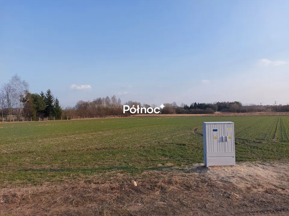 Zdjęcie 6