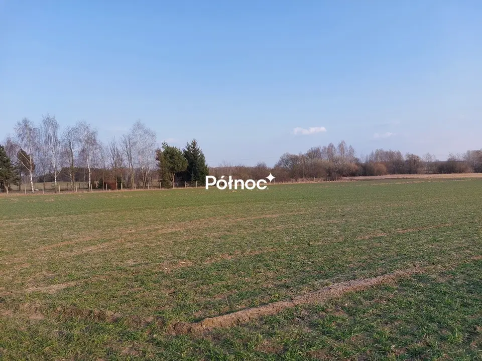 Zdjęcie 7