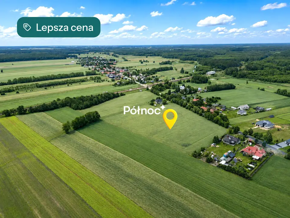 Zdjęcie 8
