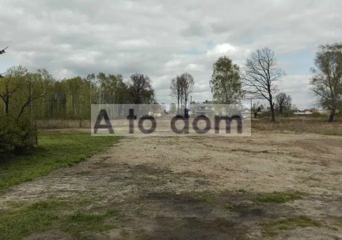 Zdjęcie 2
