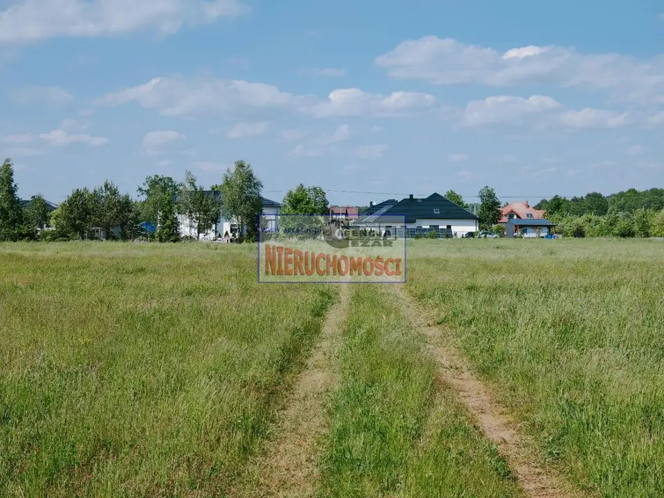 Zdjęcie 5