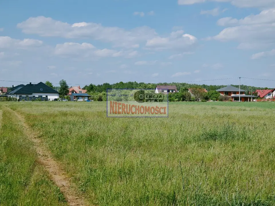 Zdjęcie 6