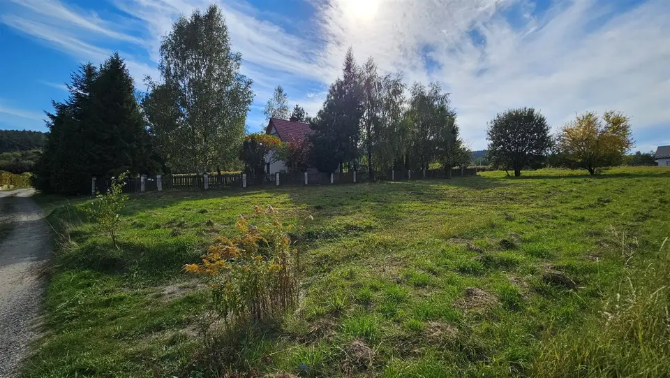 Zdjęcie 5