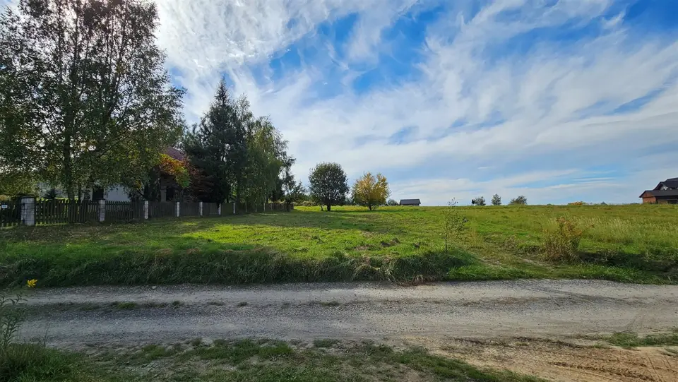 Zdjęcie 6