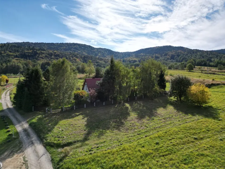 Zdjęcie 11
