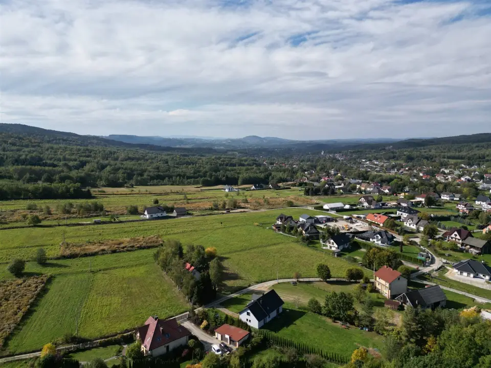 Zdjęcie 12