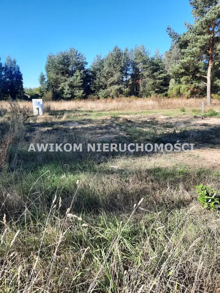 Zdjęcie 2
